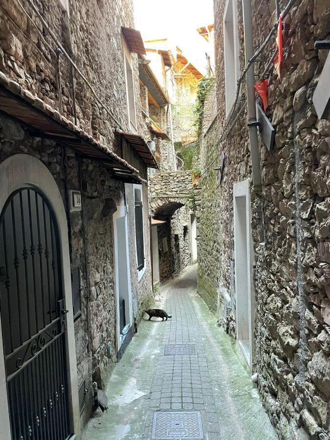 Casa Venezia In Airole, Liguria, Italy Villa Eksteriør bilde